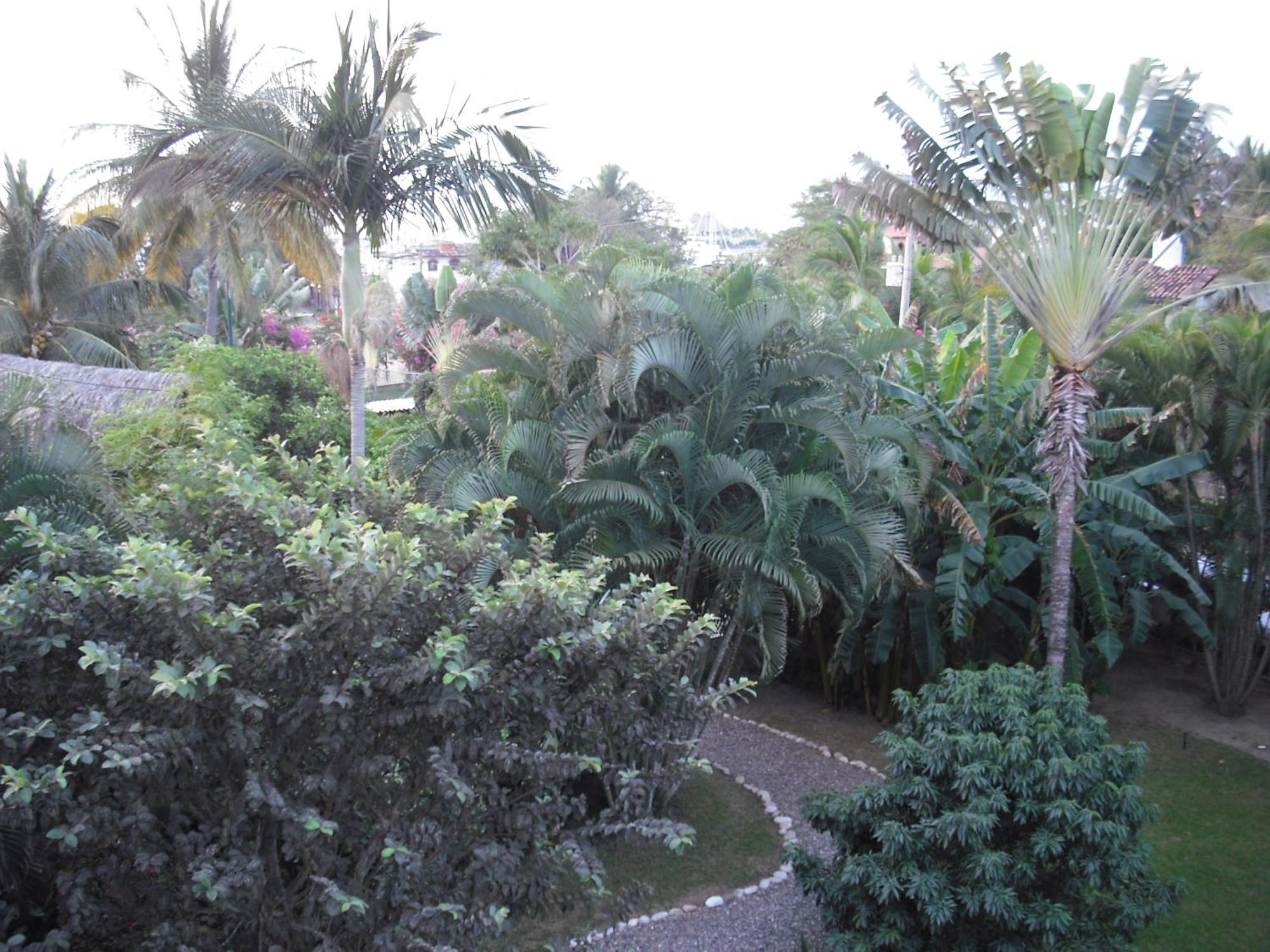 Casa Villa Magnolia La Cruz de Huanacaxtle Eksteriør billede